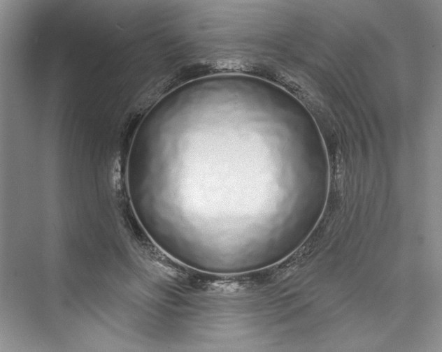 X0000075400502200609251022