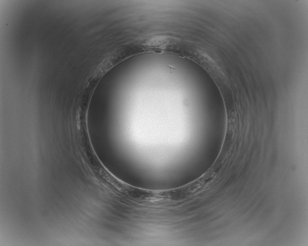 X0000075400504200609251022