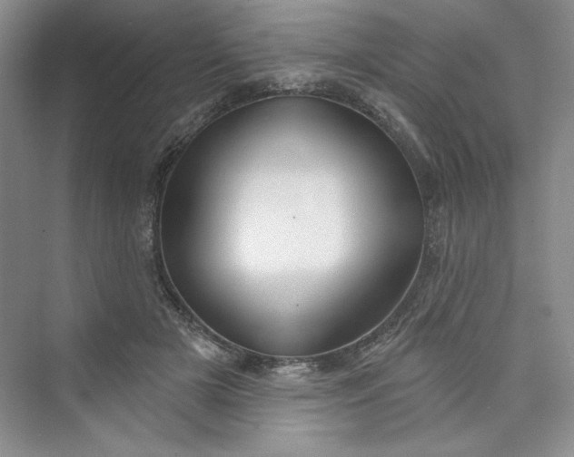 X0000075400505200609251022