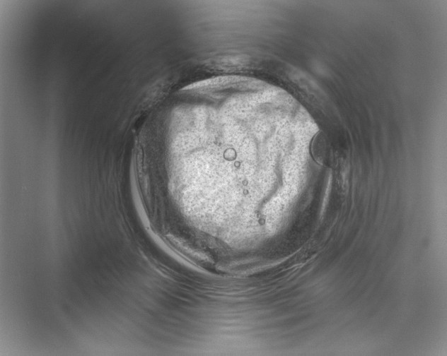 X0000075400507200609251022