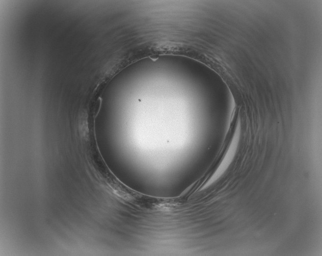 X0000075400508200609251022