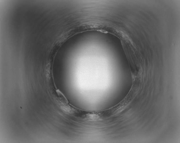 X0000075400509200609251022