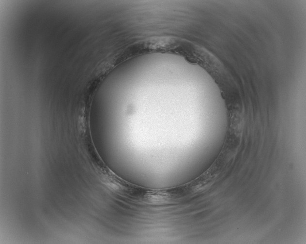 X0000075400510200609251022