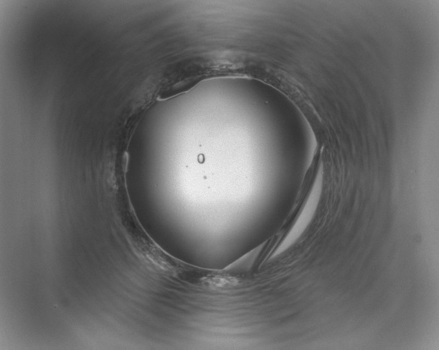 X0000075400512200609251022