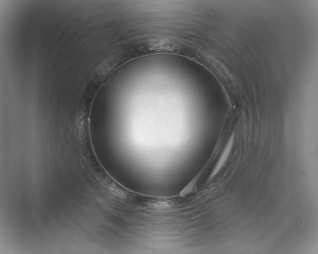 X0000075400513200609251022