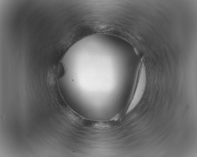 X0000075400515200609251022