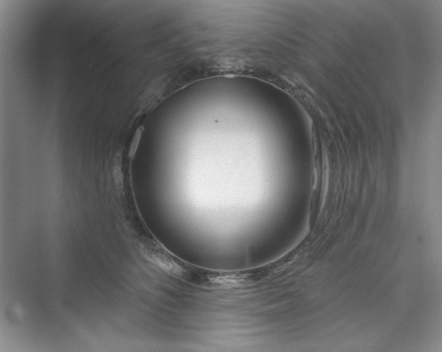 X0000075400516200609251022