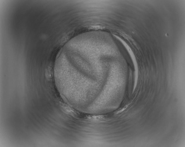 X0000075400517200609251022