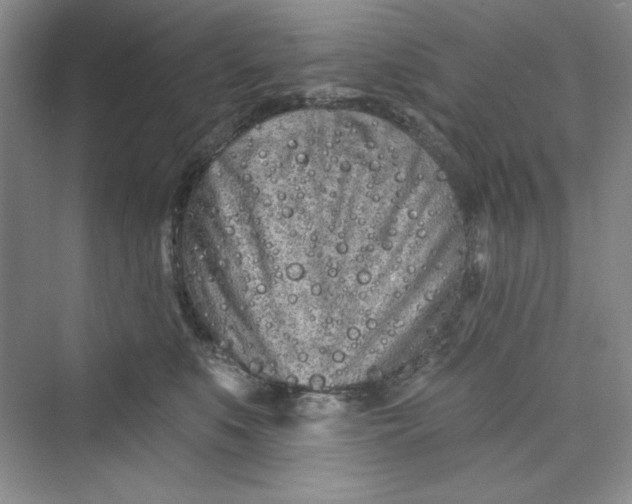 X0000075400519200609251022