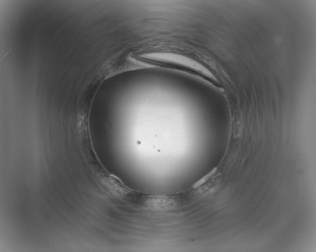 X0000075400521200609251022