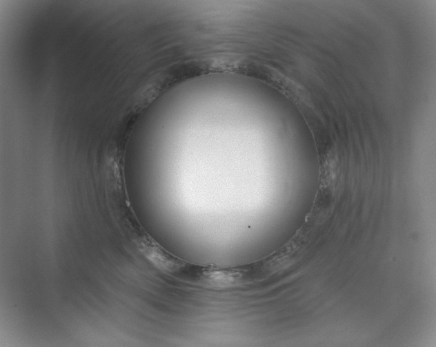 X0000075400522200609251022