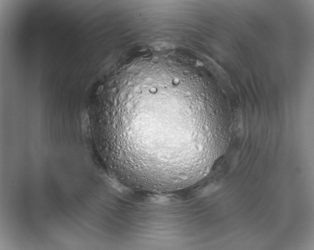 X0000075400523200609251021