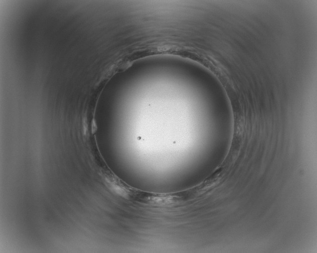 X0000075400524200609251021