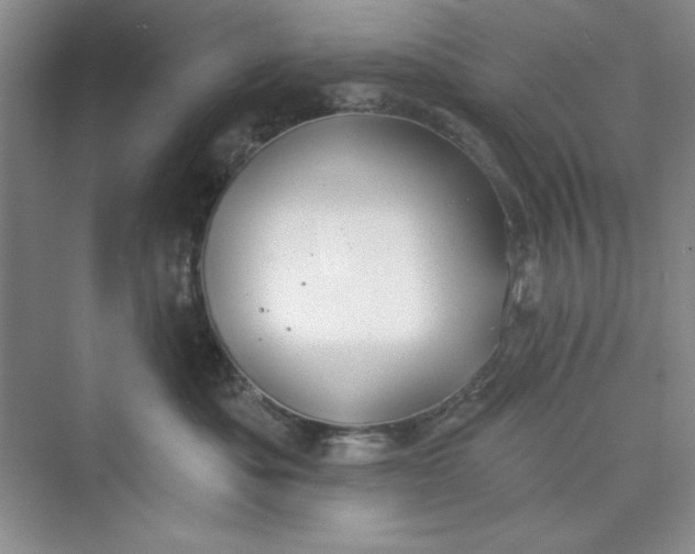 X0000075400525200609251021