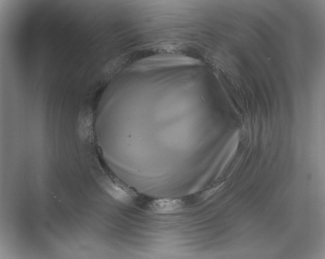 X0000075400526200609251021