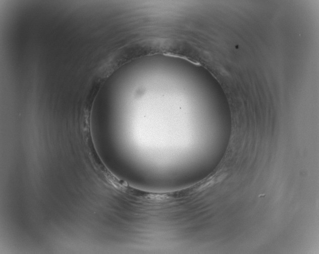 X0000075400528200609251021