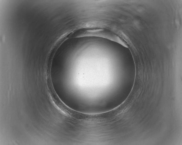 X0000075400530200609251021