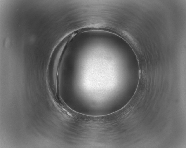 X0000075400532200609251021