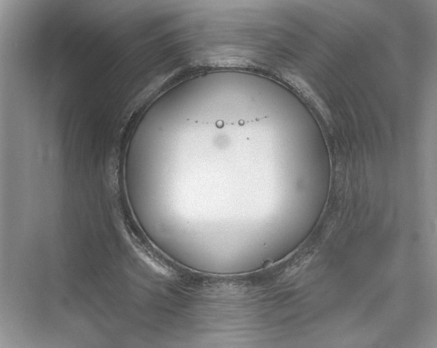 X0000075400533200609251021