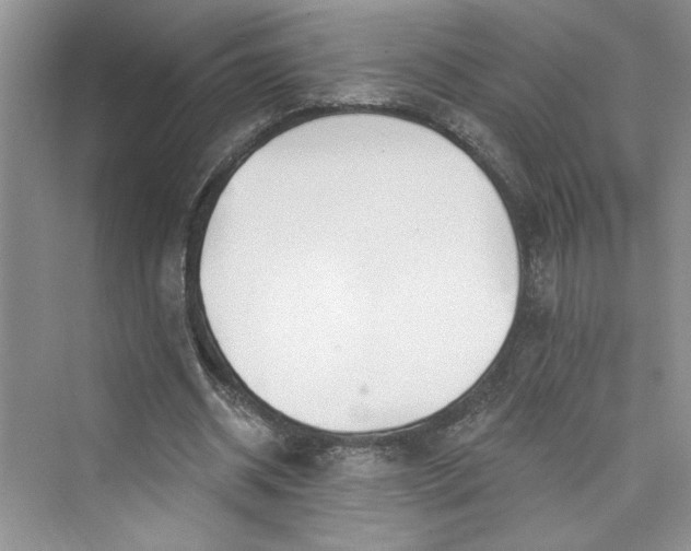 X0000075400534200609251021