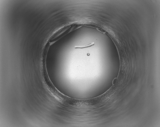 X0000075400535200609251021