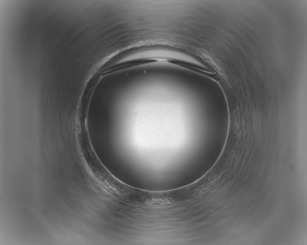 X0000075400536200609251021