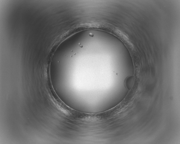 X0000075400537200609251021