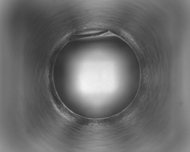 X0000075400538200609251021