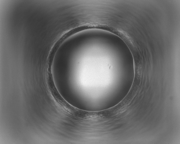 X0000075400540200609251021