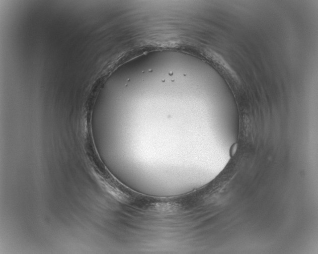 X0000075400541200609251021