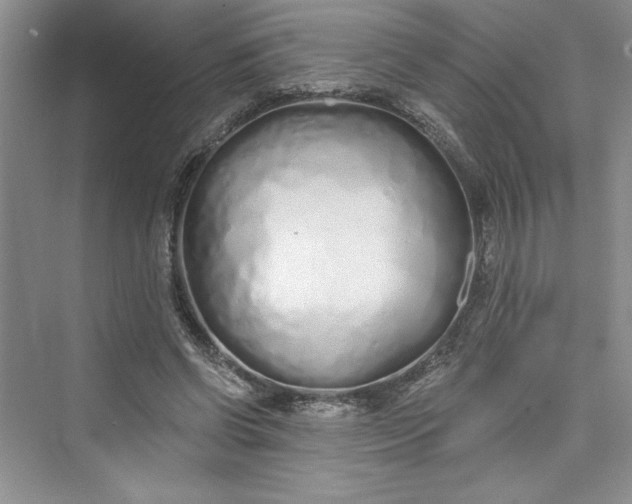 X0000075400542200609251021