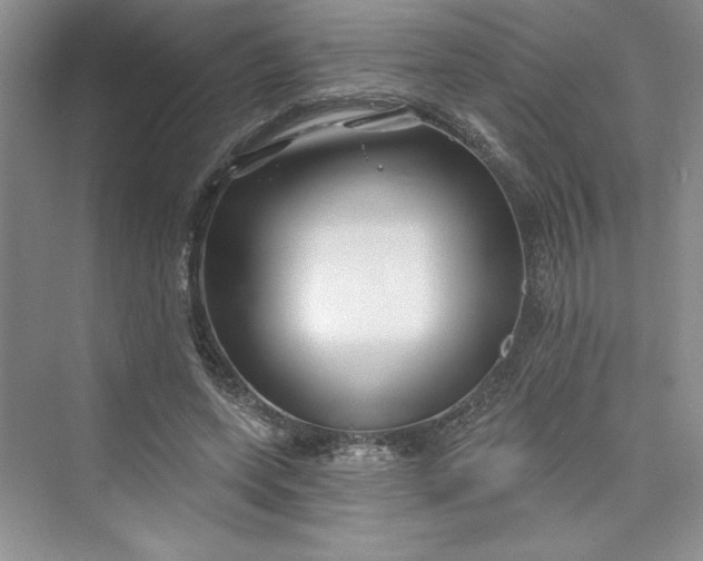 X0000075400543200609251021