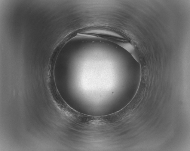 X0000075400544200609251021