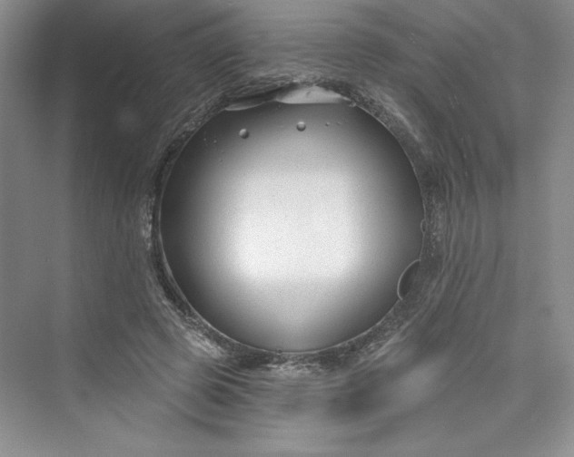 X0000075400545200609251021