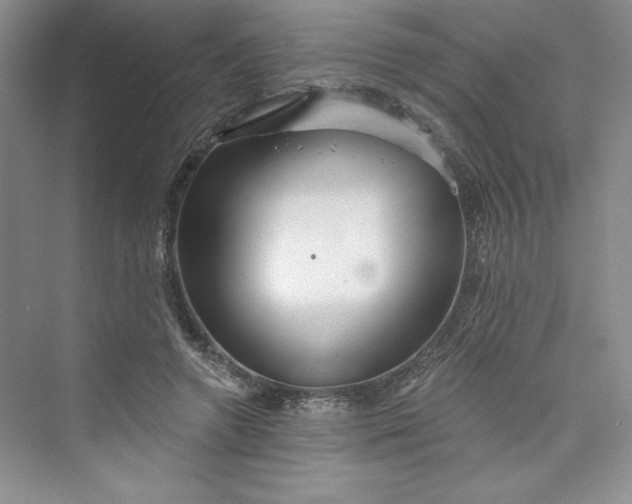 X0000075400546200609251021