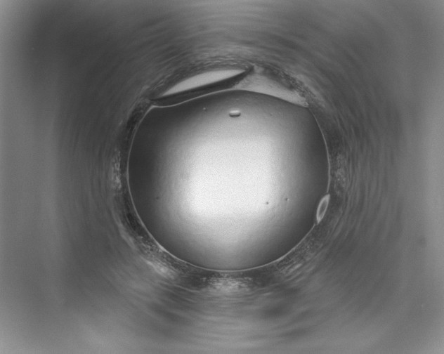 X0000075400547200609251021