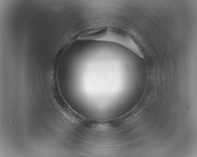 X0000075400548200609251021