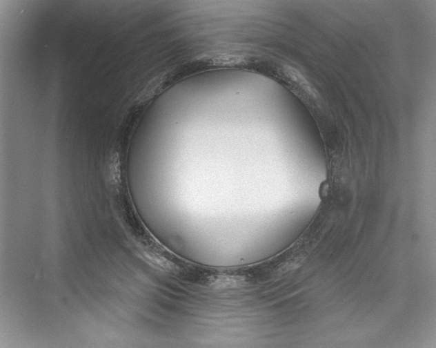 X0000075400549200609251021