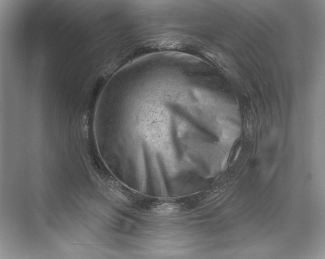 X0000075400551200609251021