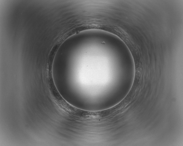 X0000075400552200609251021