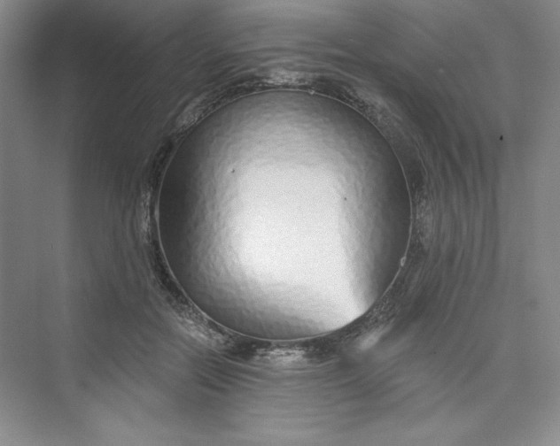 X0000075400554200609251021