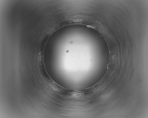 X0000075400555200609251021