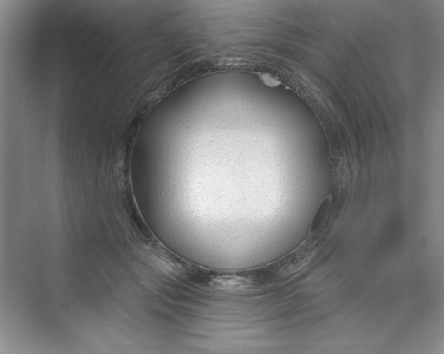 X0000075400557200609251021