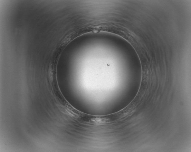 X0000075400558200609251021