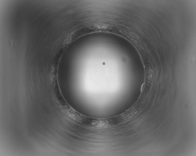 X0000075400559200609251021