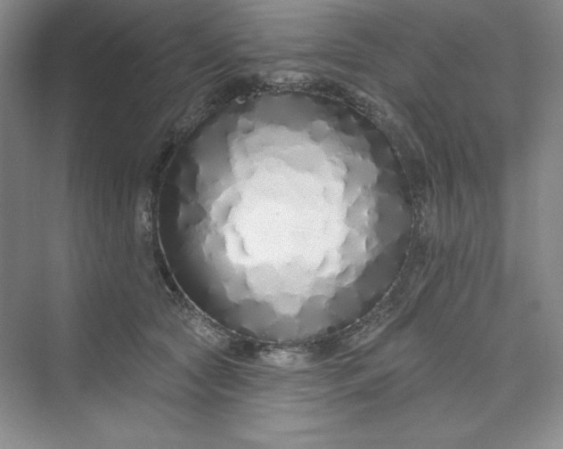 X0000075400561200609251021