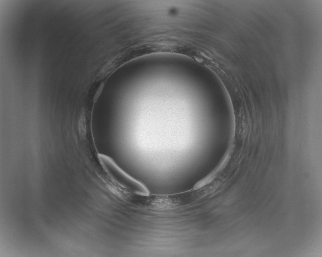 X0000075400562200609251021