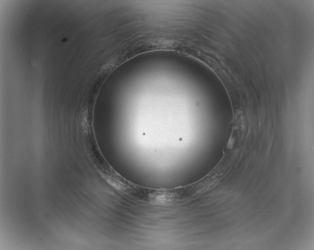 X0000075400564200609251021