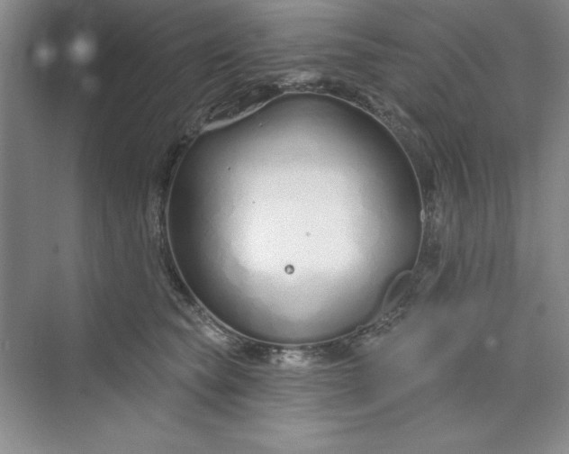 X0000075400565200609251021