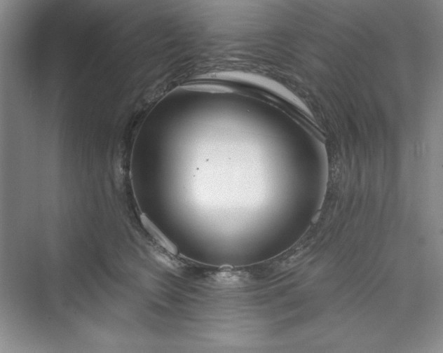 X0000075400566200609251021